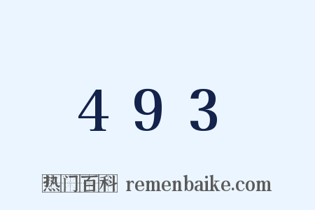 493是什么意思的图片